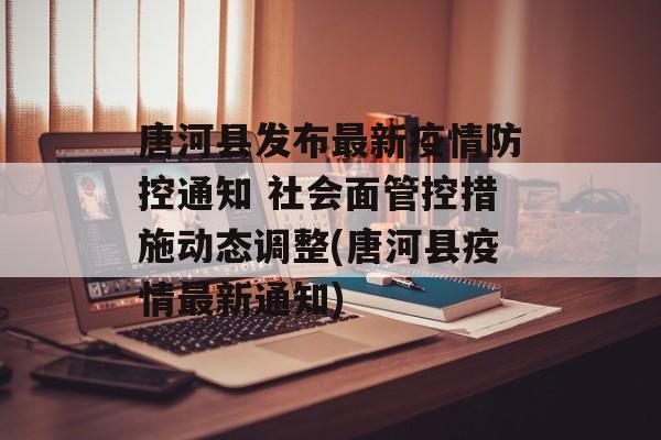 唐河县发布最新疫情防控通知 社会面管控措施动态调整(唐河县疫情最新通知)