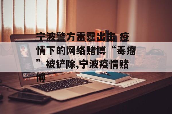 宁波警方雷霆出击 疫情下的网络赌博“毒瘤”被铲除,宁波疫情赌博