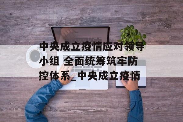 中央成立疫情应对领导小组 全面统筹筑牢防控体系_中央成立疫情