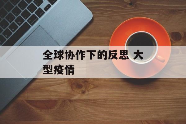 全球协作下的反思 大型疫情