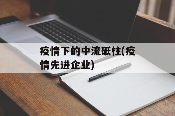 疫情下的中流砥柱(疫情先进企业)