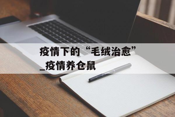 疫情下的“毛绒治愈”_疫情养仓鼠