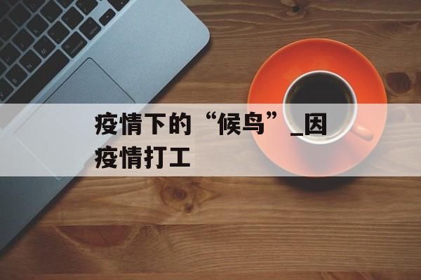 疫情下的“候鸟”_因疫情打工